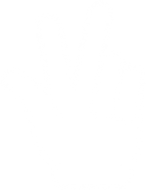 Hand Gesture Recognition